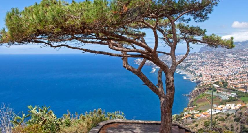 Berco Funchal Villa Buitenkant foto